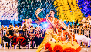 Carnaval 2025 Vigo: el desfile